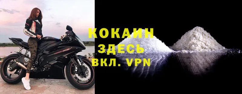 где купить наркотик  Александровск  COCAIN 98% 